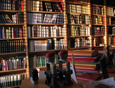 Sonnendurchflutete Bücherreihen in einem Büro des Institutes für Kirchengeschichte