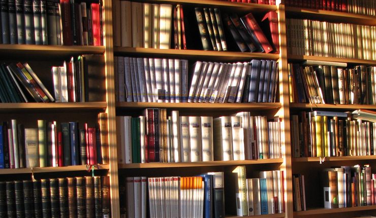 Sonnendurchflutete Bücherreihen in einem Büro des Institutes für Kirchengeschichte